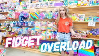 FIDGET OVERLOAD! | Bryleigh Anne