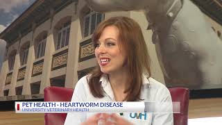 8 Facts UVH Wants You to Know About Heartworm Disease in Your Pet