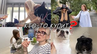 Бессовестные соседи. Требование Киры. Обновка Вики. Создаю свой бренд. daily vlog