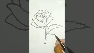 Rose Drawing |