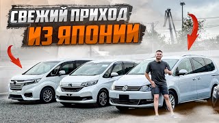 Цены на авто из Японии в сентябре 2024🚘