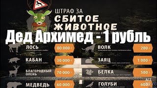 Песня про штрафы за сбитых животных  Дед Архимед