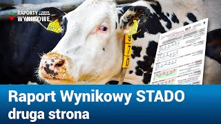 Raport Wynikowy STADO druga strona PFHBiPM