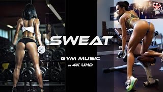 💥2024 Mega Beats: Hip Hop & Trap Gym Motivation!💪🔥2024 Workout Motivation Music (138-168 BPM) 🔥 #12