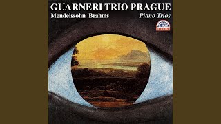 Trio for Piano, Violin and Cello No. 1 in B major, Op. 8 - Adagio