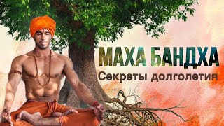 СЕКРЕТ молодости и долголетия | МАХА БАНДХА | Главные мышцы здоровья | OSTEOYOG