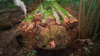 The most secret survival shelter. Warm and cozy Bushcraft dugout