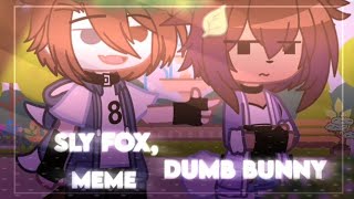 .°.•°🪐☄️🌌🎋🐰[🦊]Sly Fox, Dumb Bunny [MEME] By: Senhorita Polar | YUNKIRA [🦊]🐰🎋🌌☄️🪐°•.°.