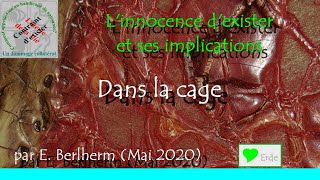 Dans la cage