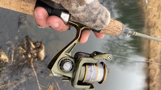 Exploring a Tiny Creek: The search for Rainbow Trout