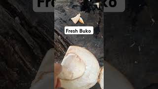 No Spoon do this🥰 #freshbuko #buko #youtubeshorts #short