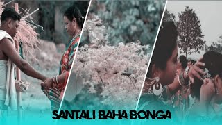 SANTALI BAHA BONGA//New Santali Love Status Video 2024 New Santali WhatsApp Status Video 2024