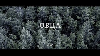 Короткометражный фильм "ОВЦА"