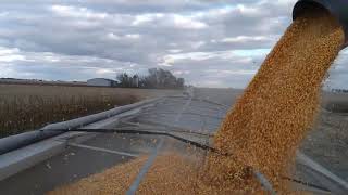 Taking down a corn field, one truck load at a time.