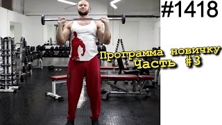 План тренировок для новичков - мужчин на 3 раза в неделю. Тренировка №3 (пятница) Программа для зала