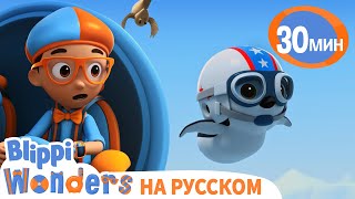 Где Обитают Пингвины, 🐧🐧 | Обучающие мультики для детей | Blippi Russian