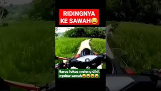 RIDING DI TENGAH SAWAH MELENG DIKIT AUTO NYEBUR SAWAH😂#shorts #motovlognmax #suasanapedesaan