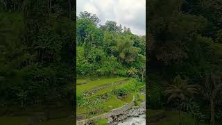 sungai #alam #alampedesaan #indonesia #tasikmalaya #sungai #lembah #gunung #galunggung