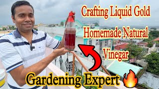 Crafting Liquid Gold : Homemade Natural Vinegar | "अपने घर पर बनाएं सिरका: सरल और स्वादिष्ट तरीका"