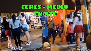 Incursión nocturna en Ceres de Ate Vitarte.