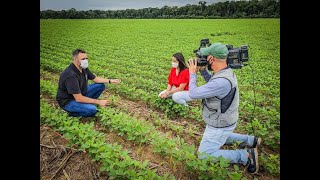 Zero Amassamento - Entrevista para o +Agro Sinop MT - Prof. Rogério Coimbra