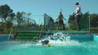 Oeste Dog Camp - Dock Diving