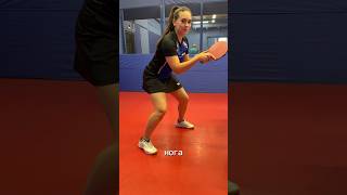 Какие стойки бывают в настольном теннисе? #уроки #tabletennis