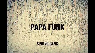 PAPA FUNK   SPRING GANG