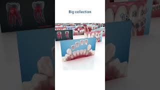 Dental App: Dental Illustration