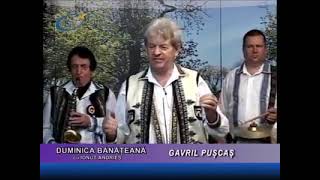 Gavril Puscas muzica populara