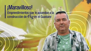 🌴 La Agricultura y la Paz transforman nuestro país