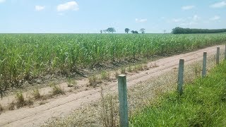 Venda direta de etanol tem outro teste amanhã/20 na Câmara contra o poderoso 'lobby mau'