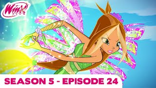 Winx Club - FULL EPISODE | Saving Paradise bay | Season 5 Episode 24