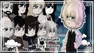 Реакция tiny Banny to tt/tik tok/Ротон/яой/мясо/+взрослые/реакция зайчик на тт