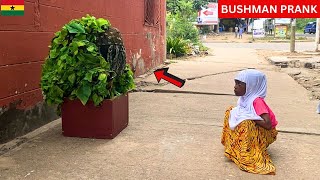 😂😂😂 Curiosity Kills The Cat! BUSHMAN PRANK 2024.