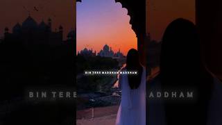 Suno Na Sangemarmar ❣️ | Taj Mahal Status 💕 | Aesthetic Lo-Fi Song 💫 | HD Status 💞 | #short #shorts