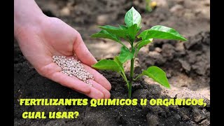 Cómo aplicar fertilizantes químicos y orgánicos