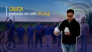 🌟 Seguimos dando pasos importantes para el desarrollo económico y social en el #Cauca.