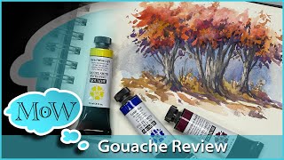 Daniel Smith Gouache Review! First Look.