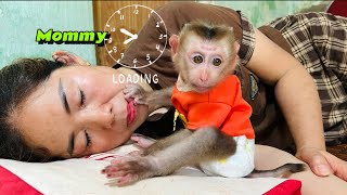 baby monkey Tina wakes up her mother to prepare breakfast