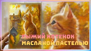 Рыжий Котенок масляной пастелью