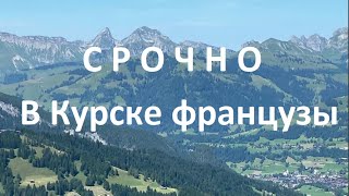 СРОЧНО! В Курске французы_ПРОГНОЗ № 5522