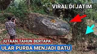 viral hari ini❓penampakan ular purba bertapa jadi batu vidio ini buktinya