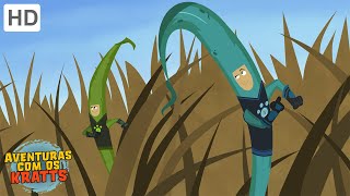 Aventuras com os Kratts - A Cadeia Alimentar (Episódio Completo - HD)