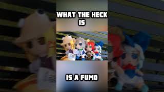 What the heck is a Fumo???