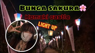 BUNGA SAKURA JEPANG DI MALAM HARI  ||小牧城||KOMAKI CASTLE