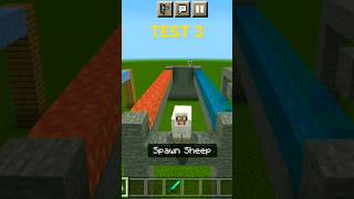 MINECRAFT: WOLF IQ TEST!!! #shorts #minecraft