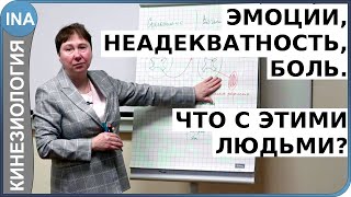 Эмоции. Фобии и страхи. Ненависть и злость. Что с людьми? Л.Ф.Васильева. Кинезиология