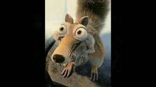 Sabías que Scrat,la simpática ardilla de la era de hielo, realmente existió? #scrat #eradehielo