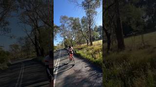 Country cycling. Bowral, Southern Highlands #cyclingday